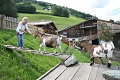 Chata Schober, Pichl bei Schladming
