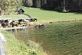 Hotel Der Seiterhof, Rohrmoos bei Schladming