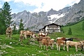 Berghotel Trlwand, Ramsau am Dachstein