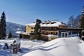 Hotel Alpenhof, Steinhaus am Semmering