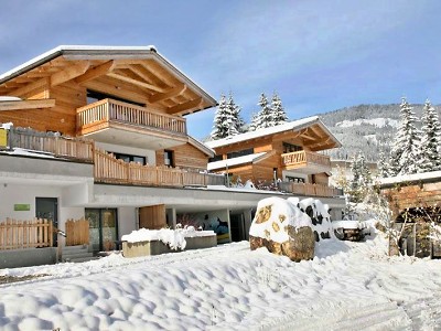 ubytovanie Alpin Chalet, Flachauwinkl