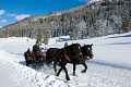 Chaty Alpin Chalet, Kleinarl