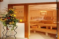 Hotel Alpenhof Kristall, Mayrhofen