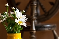 Apartmny Leitnerhof, Ramsau im Zillertal