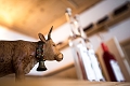 Apartmny Leitnerhof, Ramsau im Zillertal