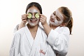 Wellness Hotel Theresa, Zell am Ziller