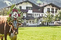 Hotel Tipotsch, Stumm im Zillertal