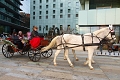Grand Hotel River Park, Bratislava