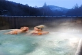 Hotel Chopok, Jasn