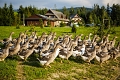 Oravsk Hj Garden Hotel & Resort, Brezovica