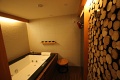 Hotel Alpina, Kranjska Gora