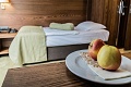 Wellness Hotel Arena, Maribor