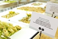 Wellness Hotel Apollo, Portoro