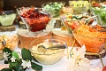 Hotel Stara Planina, utica
