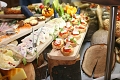 Hotel Stara Planina, utica