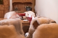 Hotel Waldhotel National, Arosa