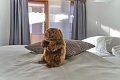 Hotel Marmotte, Saas Fee