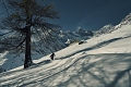 Hotel Marmotte, Saas Fee