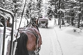 Hotel Carlton, St. Moritz