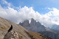 Hotel Alpi, Sesto