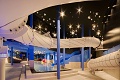 Amonti & Lunaris Wellness Resort, Steinhaus am Ahrntal
