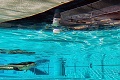 Amonti & Lunaris Wellness Resort, Steinhaus am Ahrntal