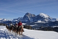 Hotel Alpina Dolomites, Compatsch