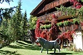 Apartmny Chalet Morin, Corvara