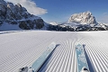 taliansko/arabba/alpenrose