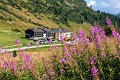 Rezidencia Campolongo, Passo Campolongo