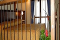 Hotel Ca 'Fiore, Bardonecchia
