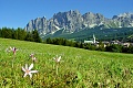 Hotel Villa Argentina, Cortina d'Ampezzo