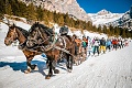 Hotel Menardi, Cortina d'Ampezzo