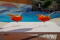 Hotel Ariane, Rimini - Rivazzurra