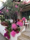 Hotel Villa Lina, Riccione