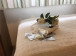 Hotel Villa Lina, Riccione