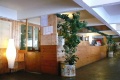 Hotel Marilleva 1400, Marilleva 1400