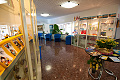 Hotel Ai Pini, Grado