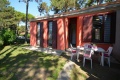 Vilky Beethoven, Lignano