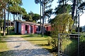 Vilky Beethoven, Lignano