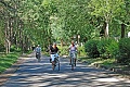 Camping Sabbiadoro, Lignano