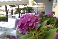 Hotel Park Spiaggia, Grado