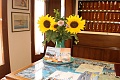 Hotel Plaza, Grado
