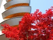 Apartmny Torre Bahia, Lignano