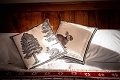 Hotel Ellex, Gressoney La Trinit