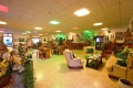 Hotel Cesotta, Forio