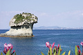 Hotel Hibiscus, Forio - ostrov Ischia