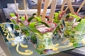 Hotel Le Palme, Paestum
