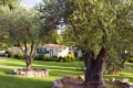 Village Flaminio, Rm