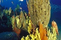 Hotel a Rezidencia Aregai Marina, Santo Stefano al Mare